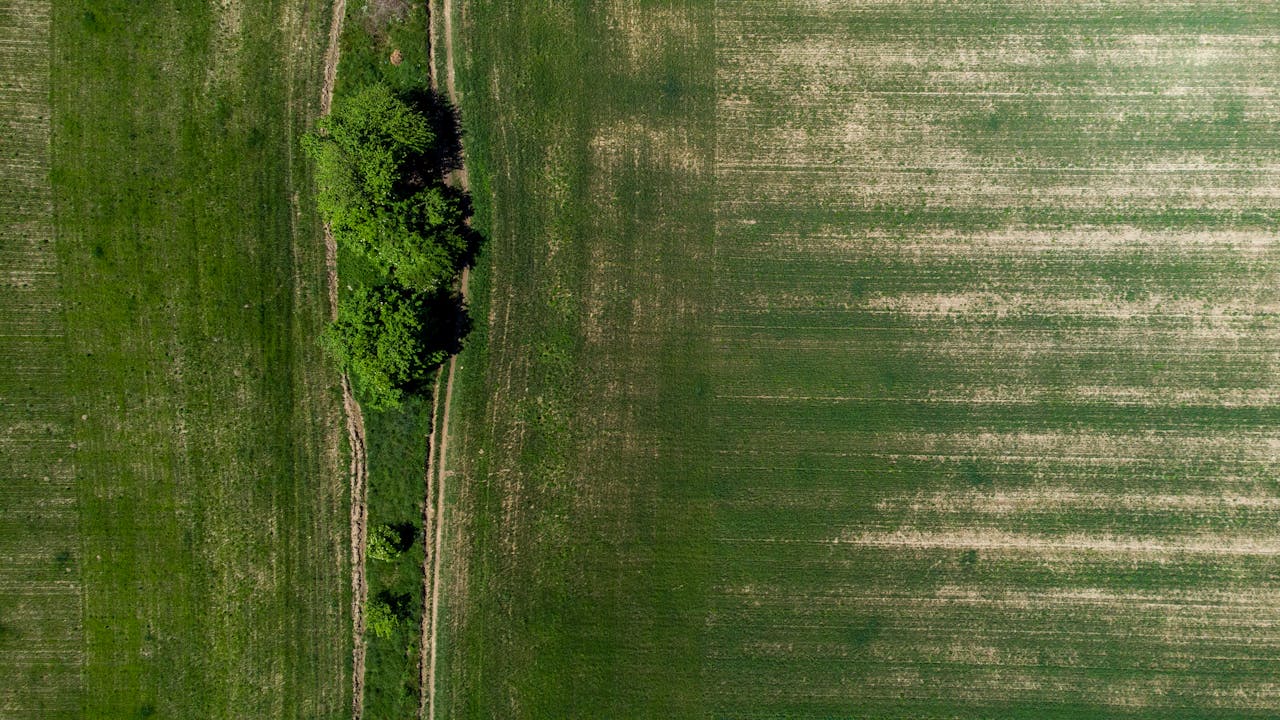 An overhead drone view of lush green agricultural fields in Poland with visible paths and trees.